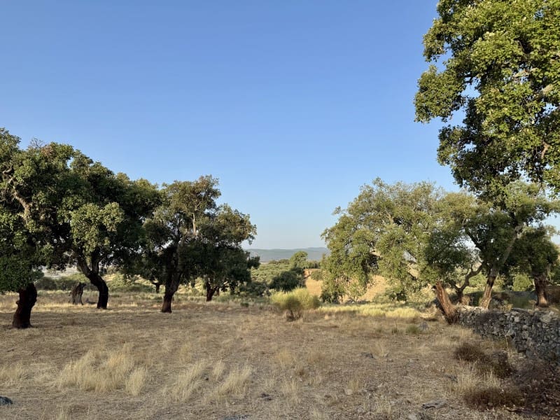 Finca/Casa Rural de 1 habitación en San Vicente de Alcántara en venta - 69.000 € (Ref: 9643348)