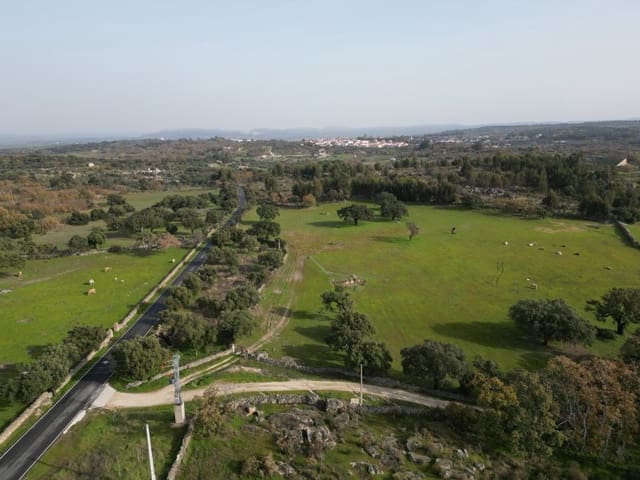 Finca/Casa Rural de 1 habitación en Valencia de Alcántara en venta - 38.000 € (Ref: 9643352)