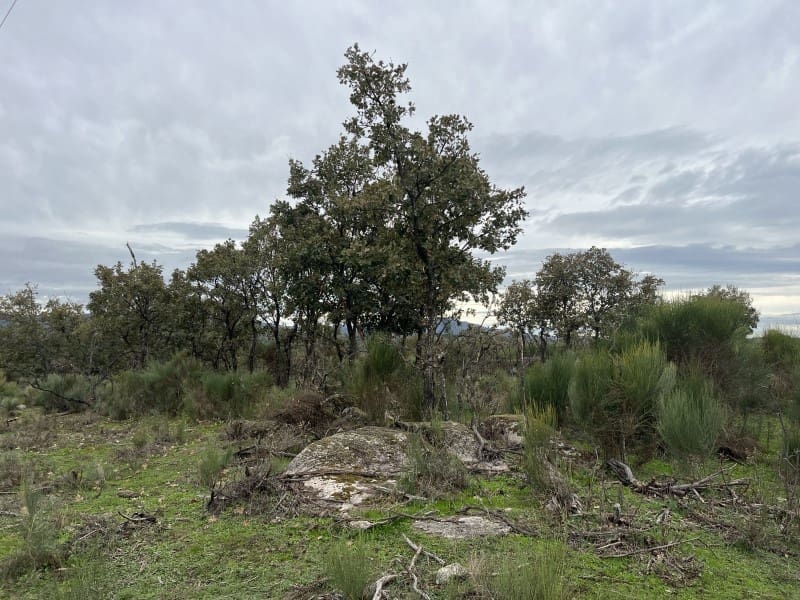 Finca/Casa Rural de 1 habitación en Valencia de Alcántara en venta - 38.000 € (Ref: 9643352)