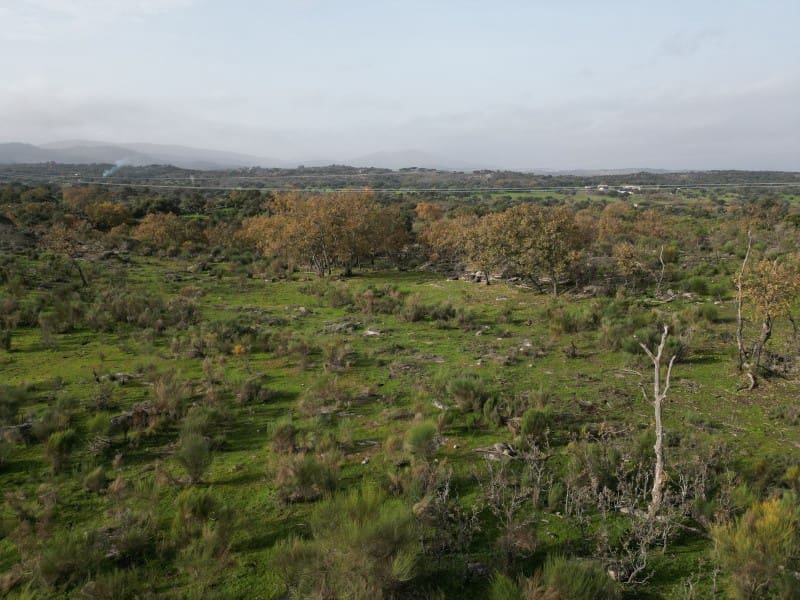 Finca/Casa Rural de 1 habitación en Valencia de Alcántara en venta - 38.000 € (Ref: 9643352)