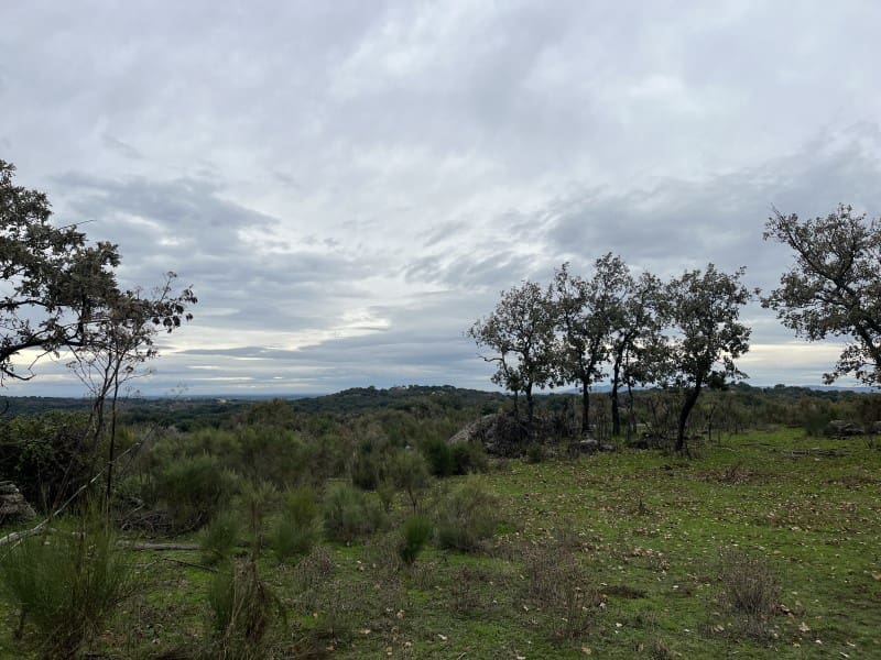 Finca/Casa Rural de 1 habitación en Valencia de Alcántara en venta - 38.000 € (Ref: 9643352)