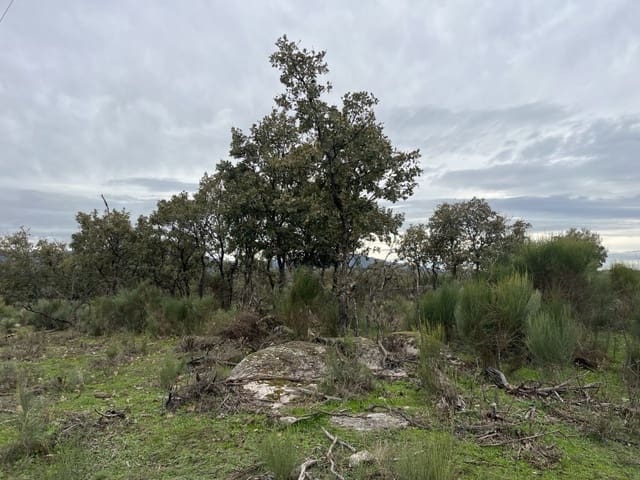 Finca/Casa Rural de 1 habitación en Valencia de Alcántara en venta - 38.000 € (Ref: 9643352)