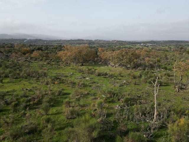 Finca/Casa Rural de 1 habitación en Valencia de Alcántara en venta - 38.000 € (Ref: 9643352)