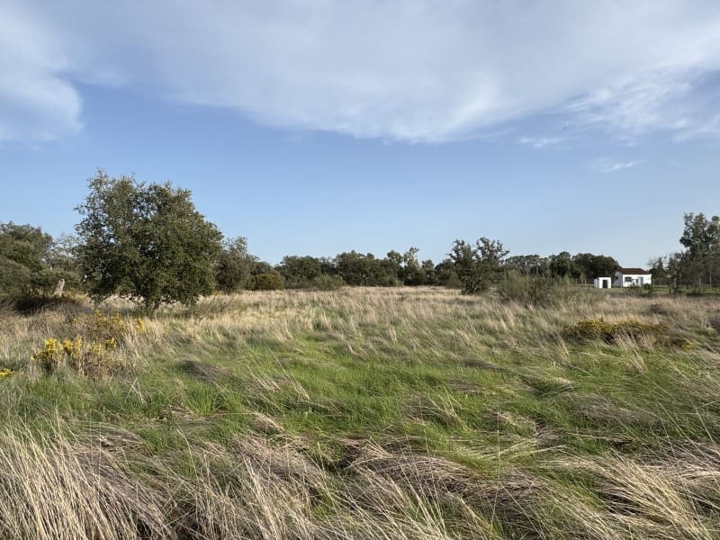 Grond te koop in Botoa - € 37.000 (Ref: 9645040)