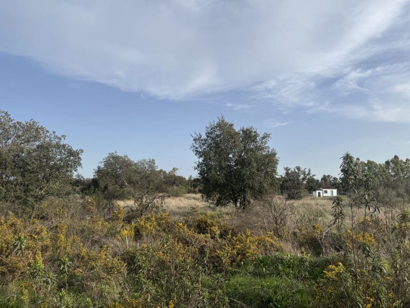 Grond te koop in Botoa - € 37.000 (Ref: 9645040)