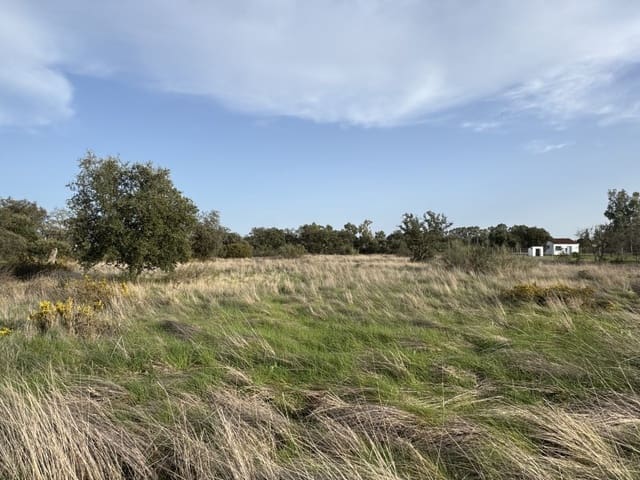 Grond te koop in Botoa, Badajoz stad - € 37.000 (Ref: 9645040)