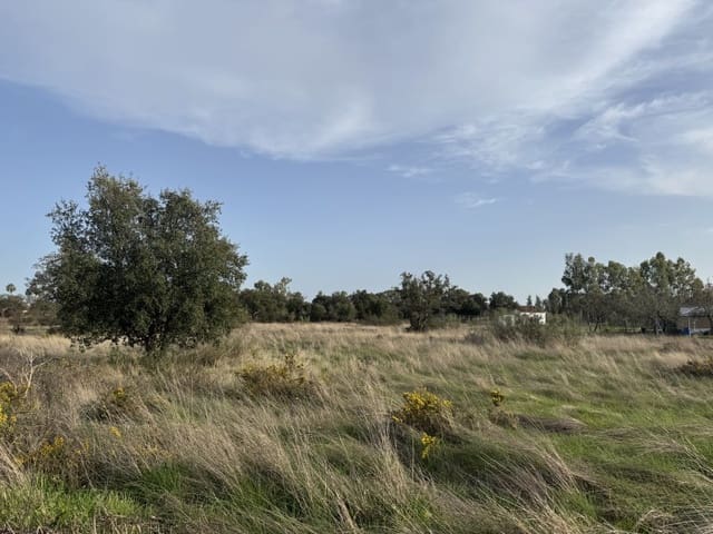 Grond te koop in Botoa, Badajoz stad - € 37.000 (Ref: 9645040)