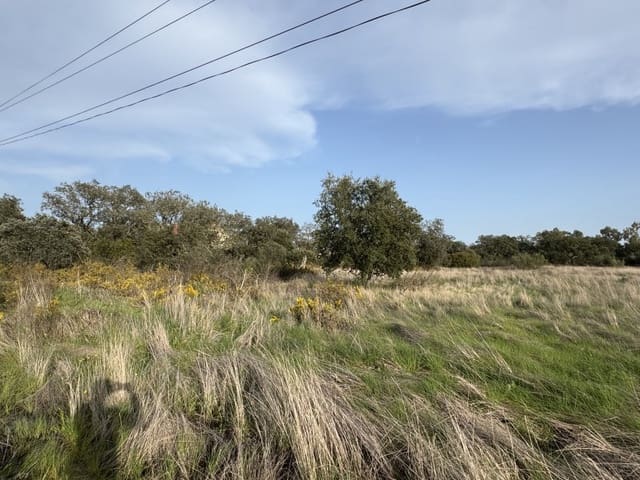 Grond te koop in Botoa, Badajoz stad - € 37.000 (Ref: 9645040)