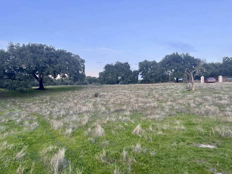 2 camera da letto Finca/Casa di Campagna in vendita in San Vicente de Alcantara - 65.000 € (Rif: 9645041)