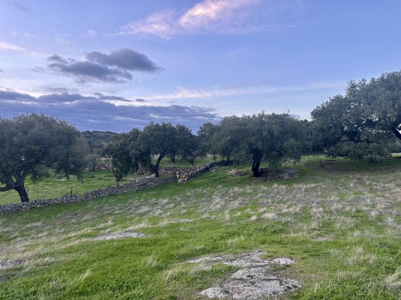 2 camera da letto Finca/Casa di Campagna in vendita in San Vicente de Alcantara - 65.000 € (Rif: 9645041)