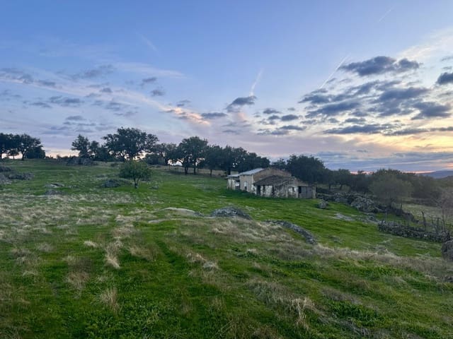 2 Zimmer Finca/Landgut zu verkaufen in San Vicente de Alcántara - 65.000 € (Ref: 9645041)