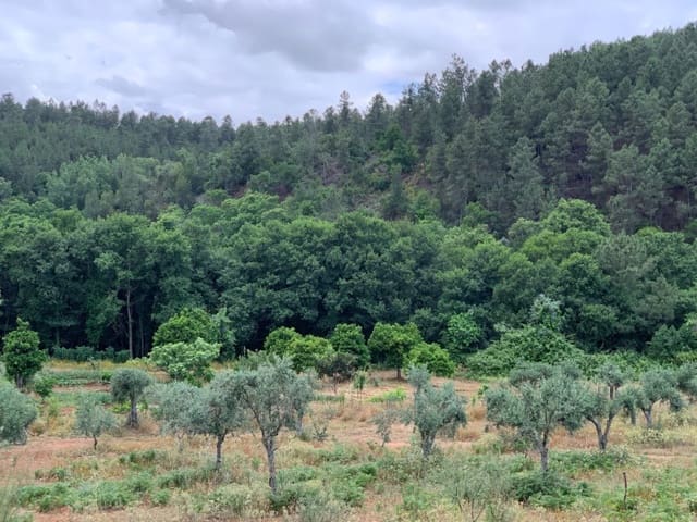 2 makuuhuone Maalaistalo myytävänä paikassa Valencia de Alcántara - 65 000 € (Ref: 9648137)