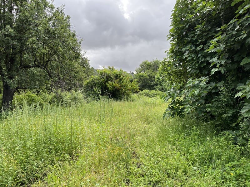 2 makuuhuone Maalaistalo myytävänä paikassa Valencia de Alcantara - 65 000 € (Ref: 9648137)