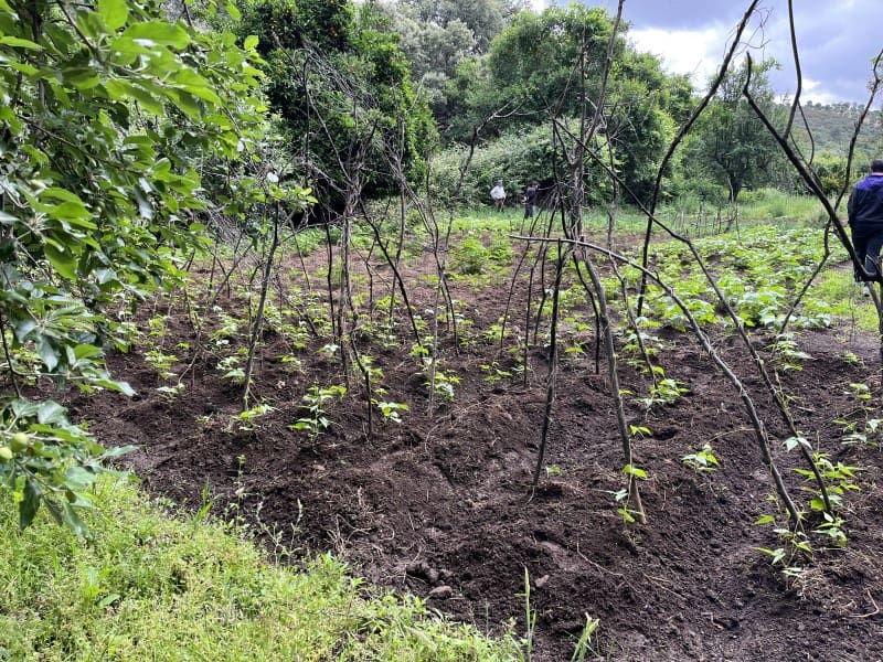 2 makuuhuone Maalaistalo myytävänä paikassa Valencia de Alcantara - 65 000 € (Ref: 9648137)