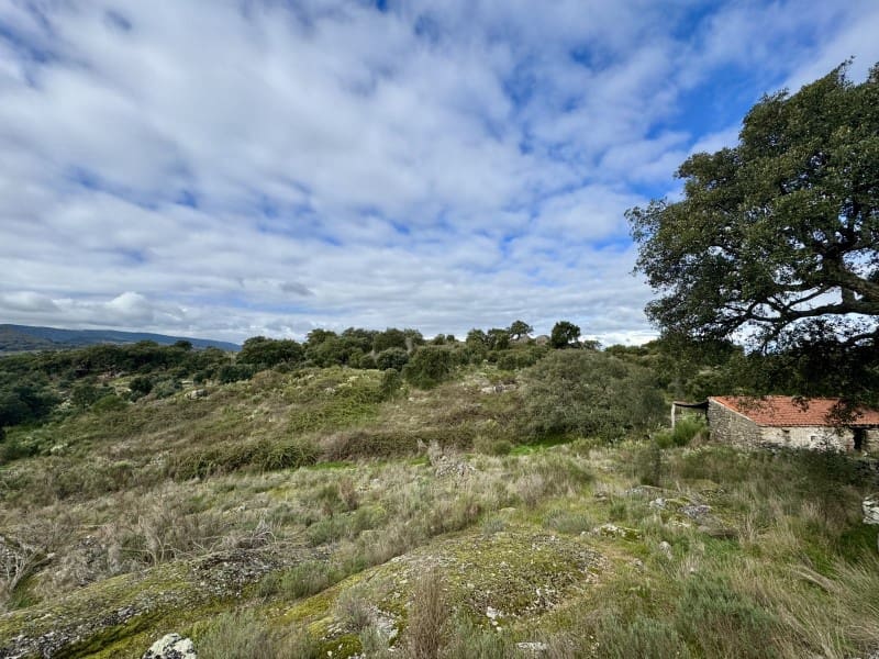 2 Zimmer Finca/Landgut zu verkaufen in Valencia de Alcantara - 265.000 € (Ref: 9670327)