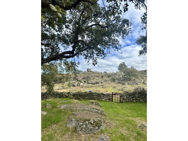 2 Zimmer Finca/Landgut zu verkaufen in Valencia de Alcantara - 265.000 € (Ref: 9670327)