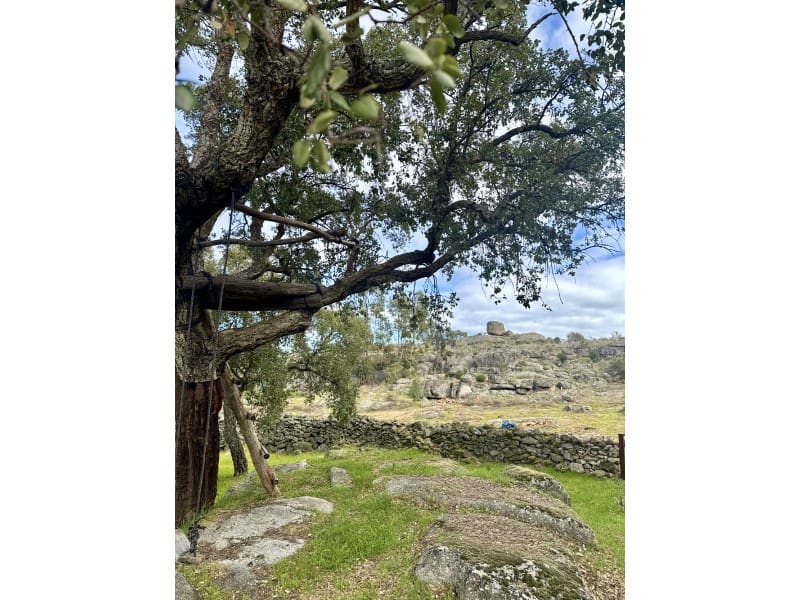 2 Zimmer Finca/Landgut zu verkaufen in Valencia de Alcantara - 265.000 € (Ref: 9670327)