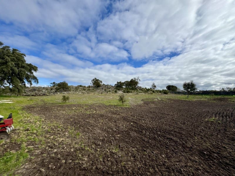 2 Zimmer Finca/Landgut zu verkaufen in Valencia de Alcantara - 265.000 € (Ref: 9670327)