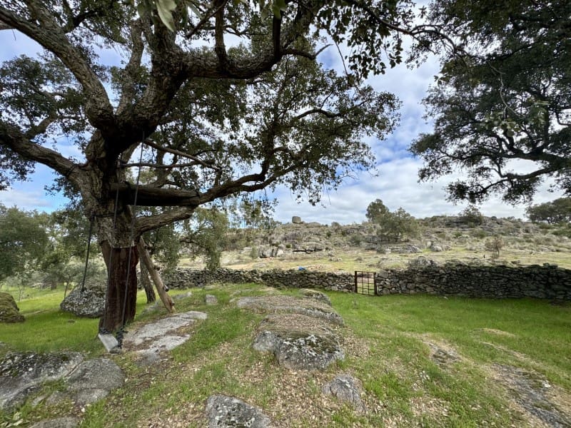 2 Zimmer Finca/Landgut zu verkaufen in Valencia de Alcantara - 265.000 € (Ref: 9670327)