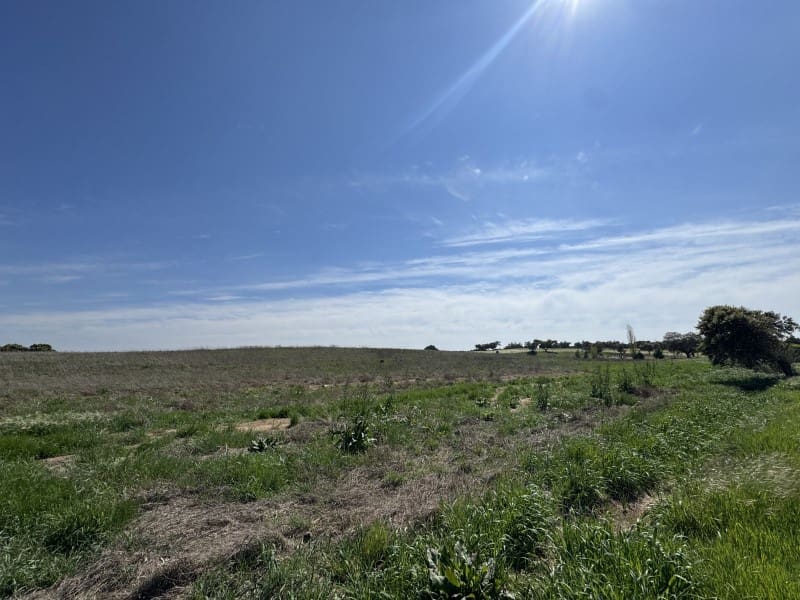 Undeveloped Land for sale in Badajoz city - € 250,000 (Ref: 9721511)