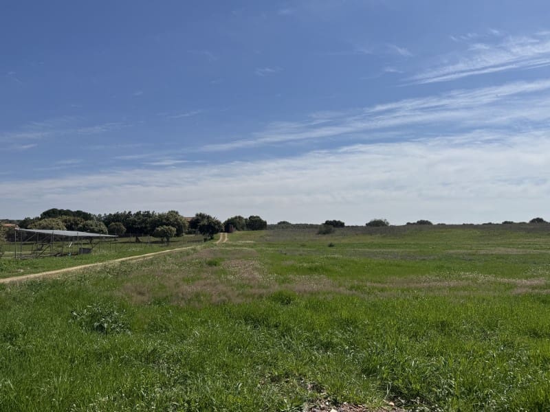 Undeveloped Land for sale in Badajoz city - € 250,000 (Ref: 9721511)