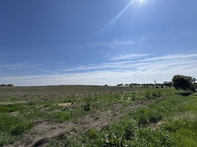 Grunde uden byggetilladelser til salg i Dehesilla de Calamón - Campomanes, Badajoz by - € 250.000 (Ref: 9721511)