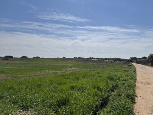Grunde uden byggetilladelser til salg i Dehesilla de Calamón - Campomanes, Badajoz by - € 250.000 (Ref: 9721511)