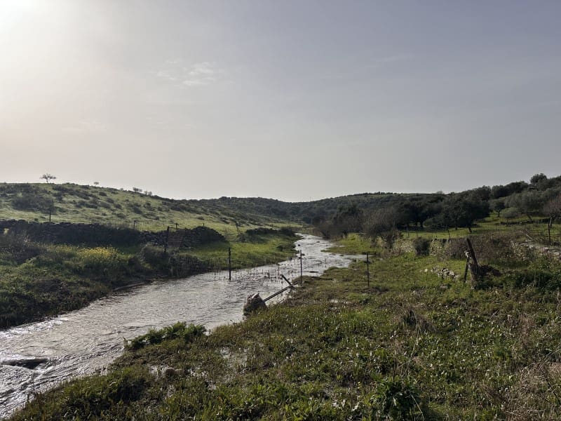 2 bedroom Finca/Country House for sale in Valencia de Alcantara - € 45,000 (Ref: 9735401)