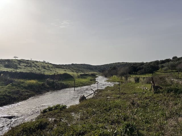 2 bedroom Finca/Country House for sale in Valencia de Alcántara - € 45,000 (Ref: 9735401)