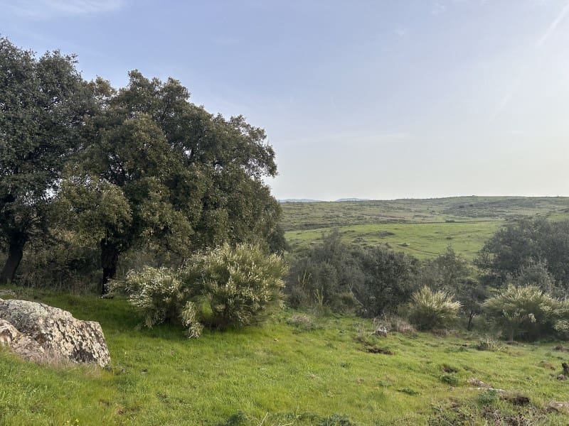 2 bedroom Finca/Country House for sale in Valencia de Alcantara - € 45,000 (Ref: 9735401)