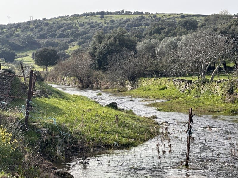 2 bedroom Finca/Country House for sale in Valencia de Alcantara - € 45,000 (Ref: 9735401)