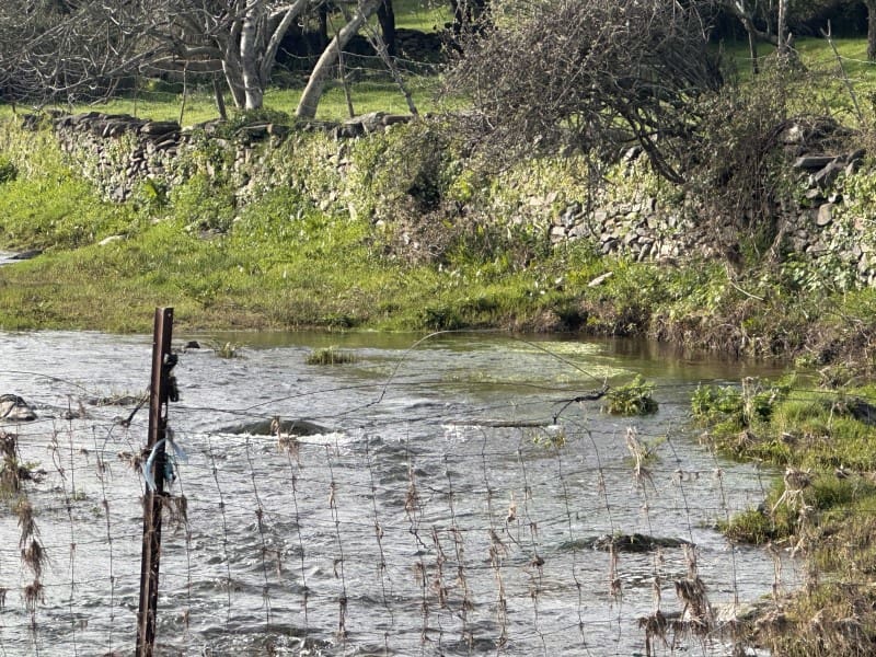 2 bedroom Finca/Country House for sale in Valencia de Alcantara - € 45,000 (Ref: 9735401)