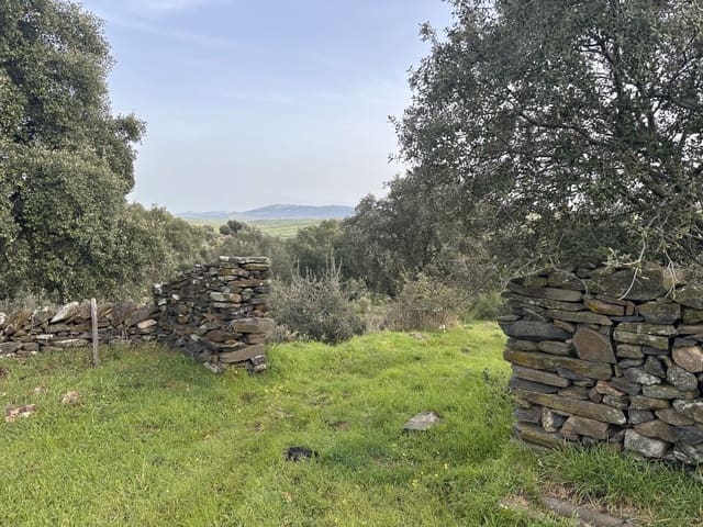 2 bedroom Finca/Country House for sale in Valencia de Alcántara - € 45,000 (Ref: 9735401)