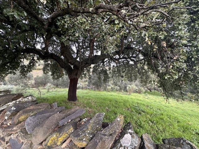 2 bedroom Finca/Country House for sale in Valencia de Alcántara - € 45,000 (Ref: 9735401)