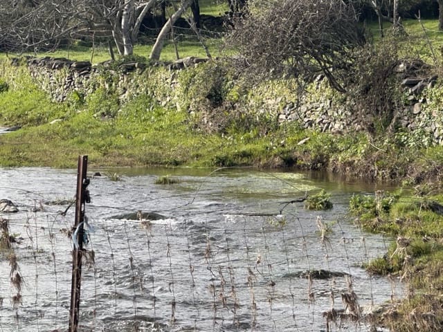 2 bedroom Finca/Country House for sale in Valencia de Alcántara - € 45,000 (Ref: 9735401)