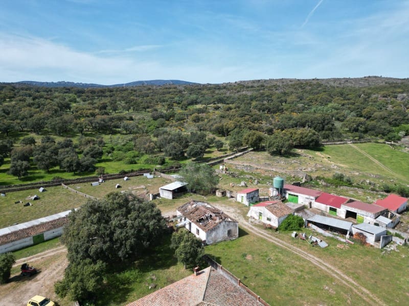 3 bedroom Finca/Country House for sale in Valencia de Alcantara - € 260,000 (Ref: 9828884)