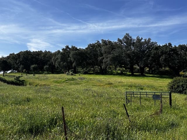 3 soverom Finca/Herregård til salgs i Valencia de Alcántara - € 260 000 (Ref: 9828884)
