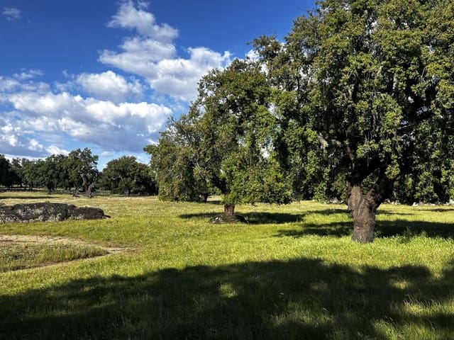Finca/Country House for sale in Valencia de Alcántara - € 2,400,000 (Ref: 9894470)