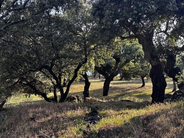 Finca/Country House for sale in Valencia de Alcántara - € 2,400,000 (Ref: 9894470)
