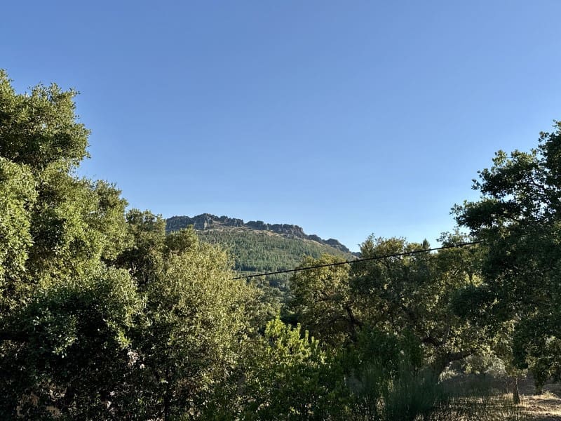 Finca/Casa Rural de 7 habitaciones en Valencia de Alcántara en venta - 490.000 € (Ref: 9945397)
