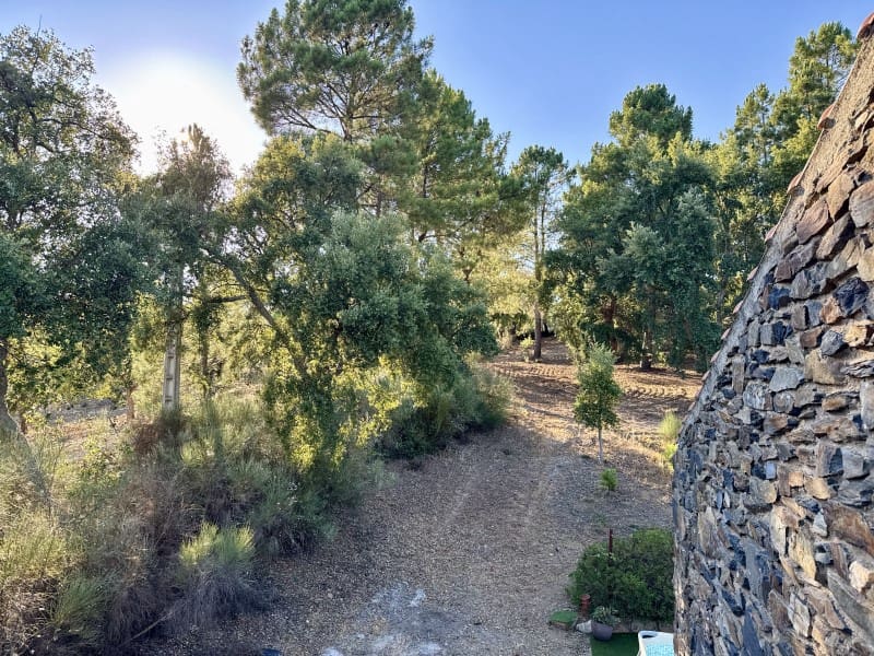 Finca/Casa Rural de 7 habitaciones en Valencia de Alcántara en venta - 490.000 € (Ref: 9945397)