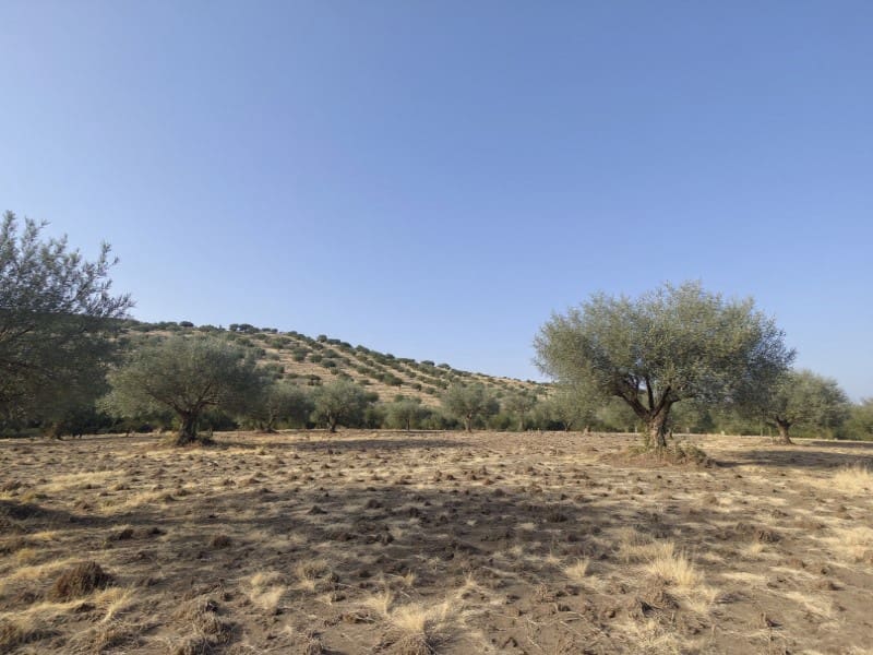 1 soveværelse Finca/Landehus til salg i Valencia de Alcantara - € 95.000 (Ref: 9945398)