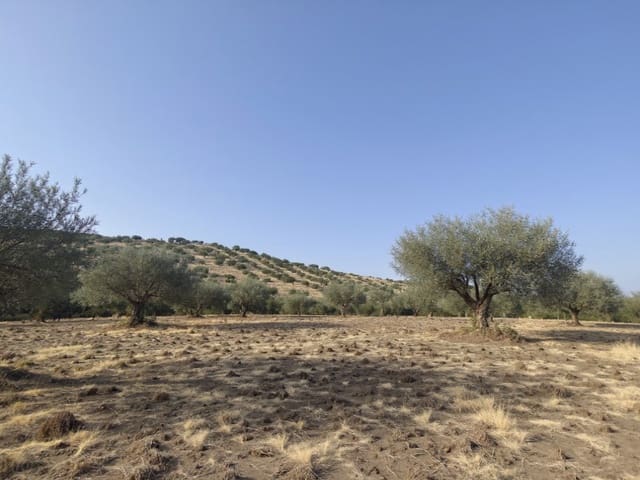 1 soveværelse Finca/Landehus til salg i Valencia de Alcántara - € 95.000 (Ref: 9945398)