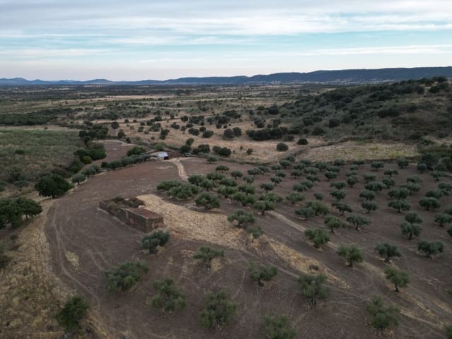 1 soveværelse Finca/Landehus til salg i Valencia de Alcántara - € 95.000 (Ref: 9945398)