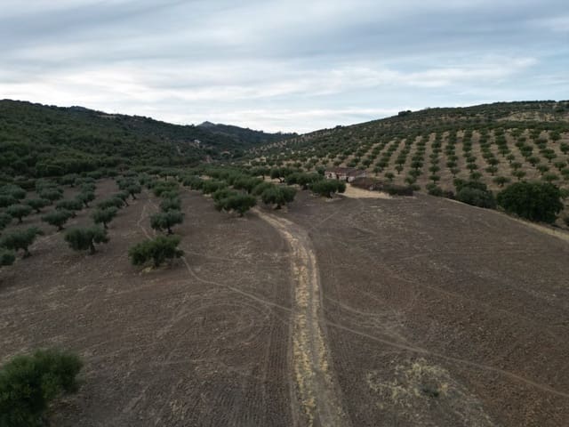 1 soveværelse Finca/Landehus til salg i Valencia de Alcántara - € 95.000 (Ref: 9945398)