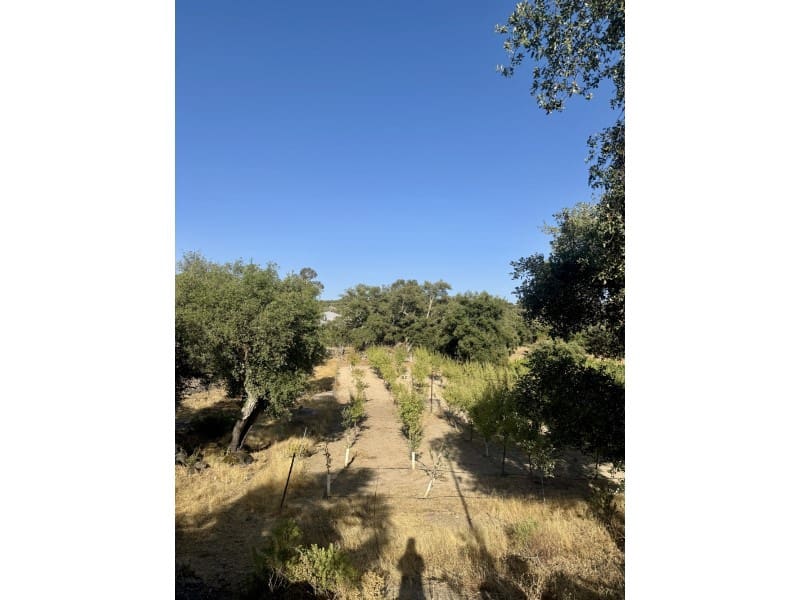 Finca/Casa Rural de 3 habitaciones en San Vicente de Alcántara en venta con piscina - 165.000 € (Ref: 9998447)