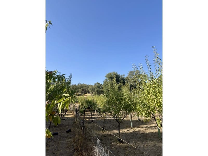 Finca/Casa Rural de 3 habitaciones en San Vicente de Alcántara en venta con piscina - 165.000 € (Ref: 9998447)