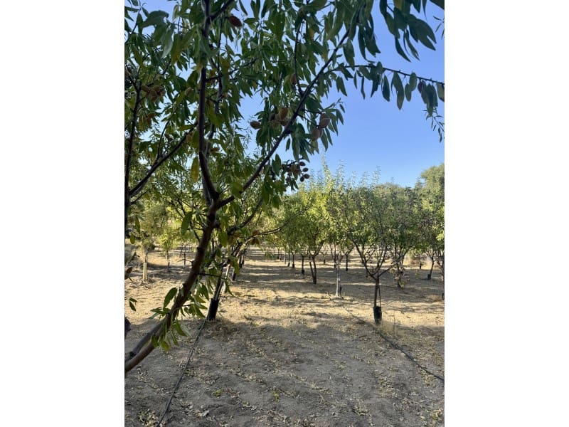 Finca/Casa Rural de 3 habitaciones en San Vicente de Alcántara en venta con piscina - 165.000 € (Ref: 9998447)