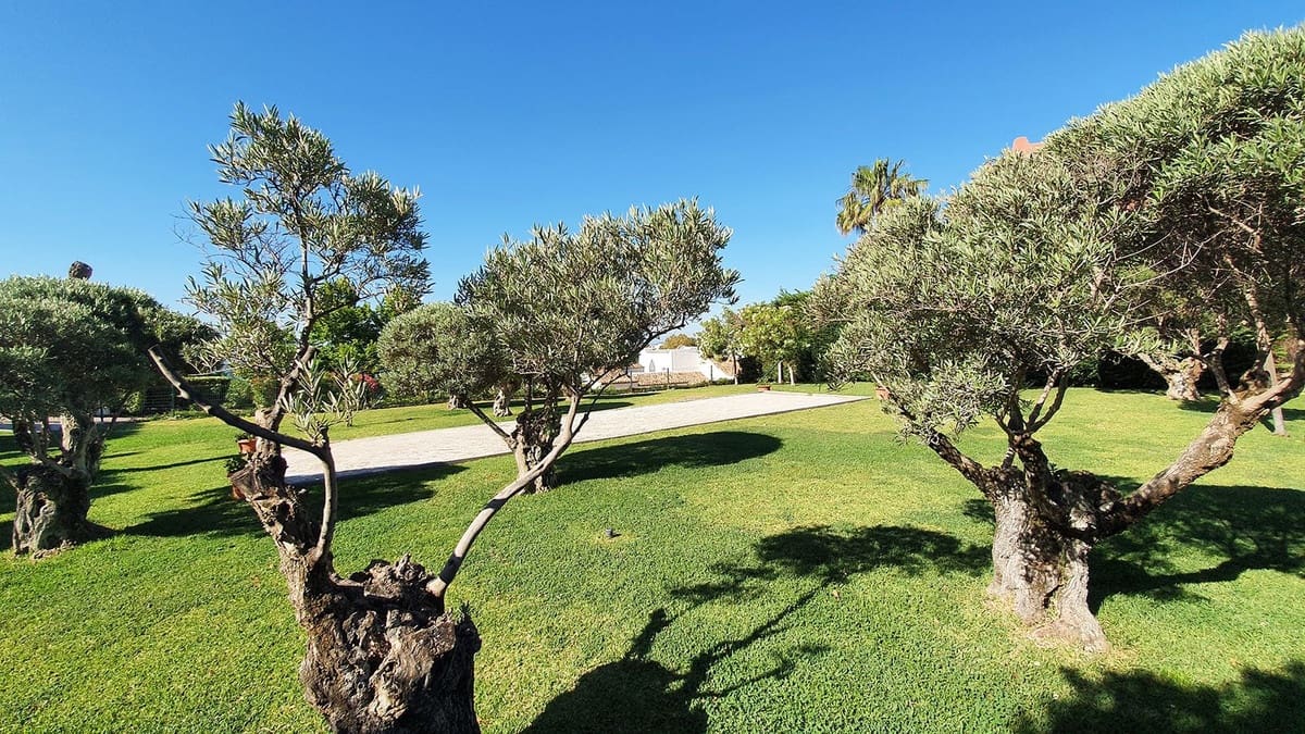 2 quarto Apartamento para venda em Benalmadena com piscina - 557 000 € (Ref: 10093641)