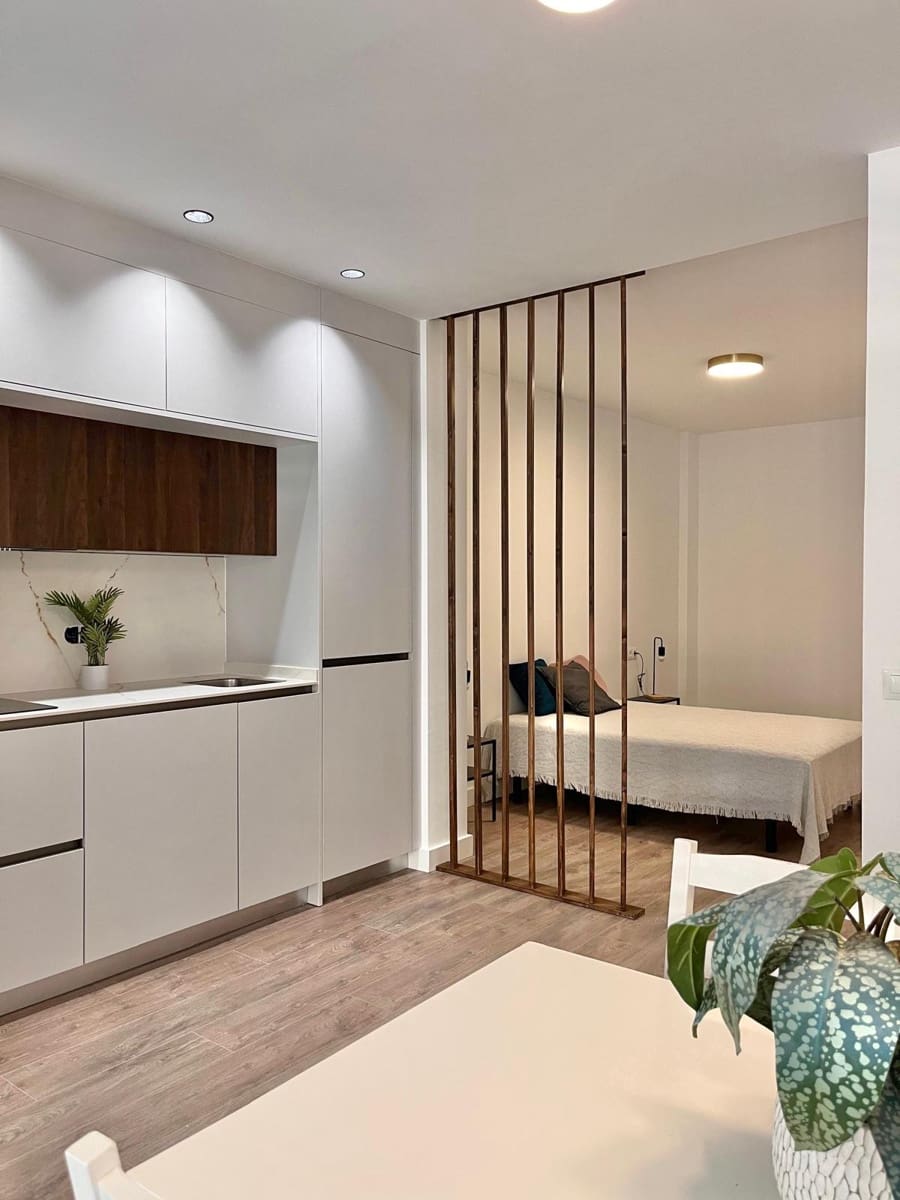 1 soverom Leilighet til salgs i Malaga by - € 295 000 (Ref: 9049781)